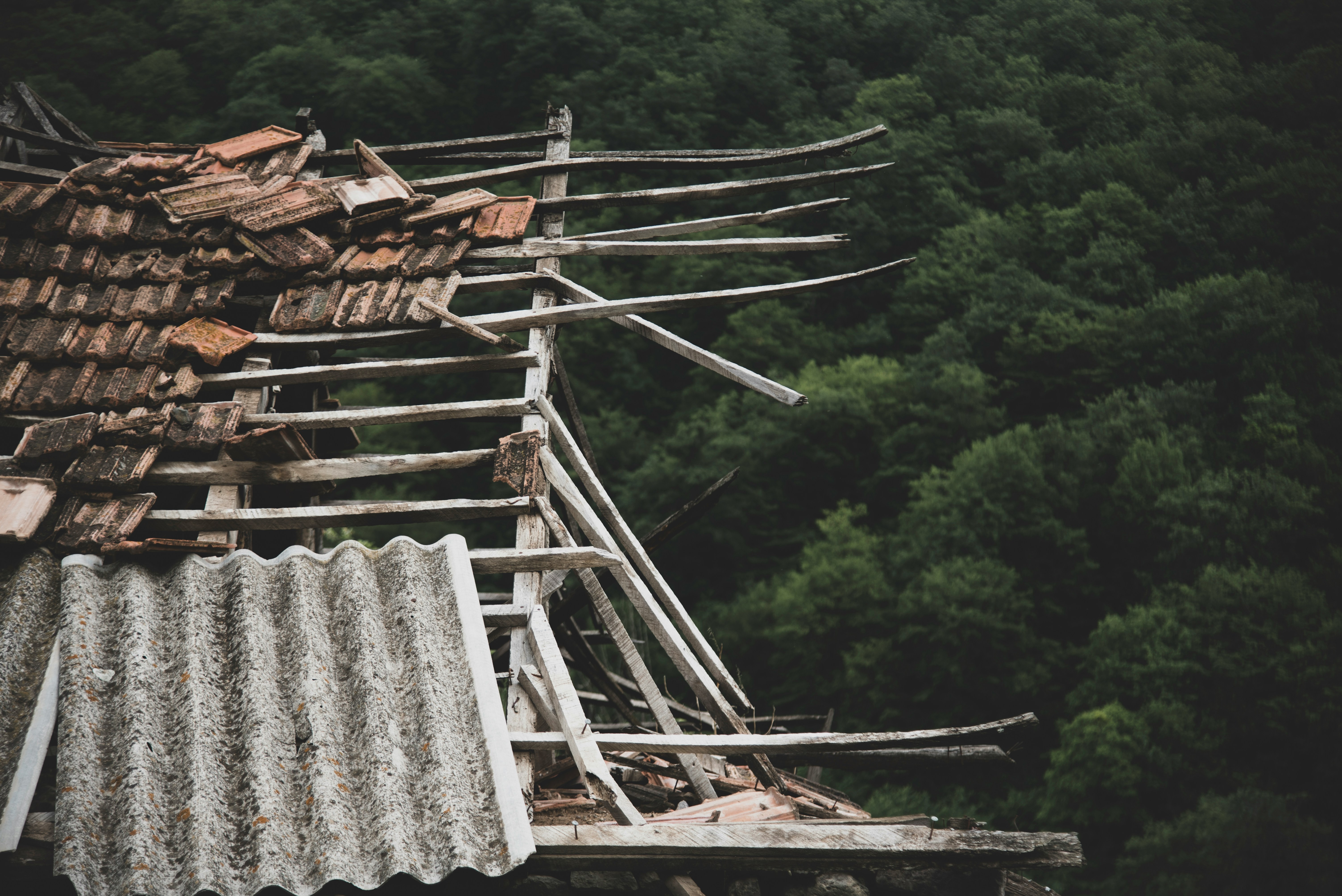 How to Choose the Best Restoration Company in Cherry Hills and Highlands Ranch