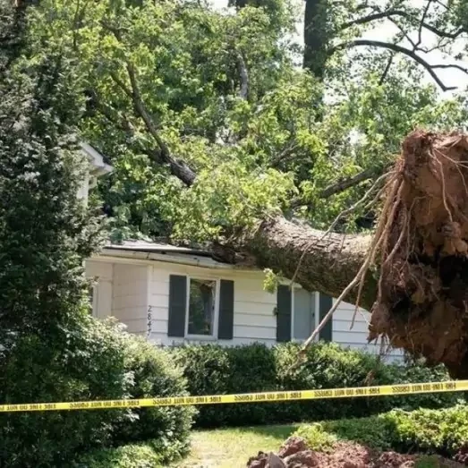 Storm Wind Damage Repair Services in Highlands Ranch, Cherry Hills Village, CO